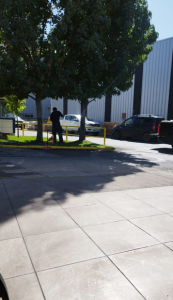 captura de pantalla 2026 01 08 123301